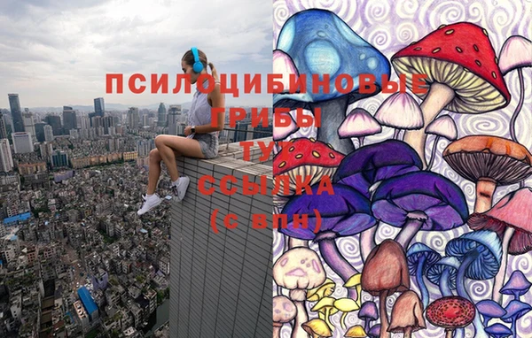 скорость Няндома