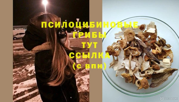 спиды Нягань