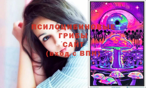 скорость Няндома